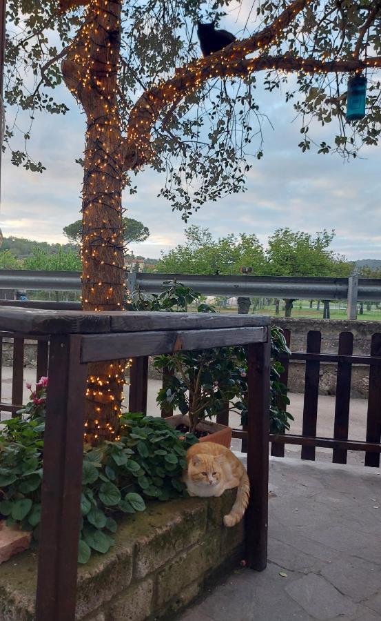 Valle Degli Etruschi B&B Grilli エクステリア 写真