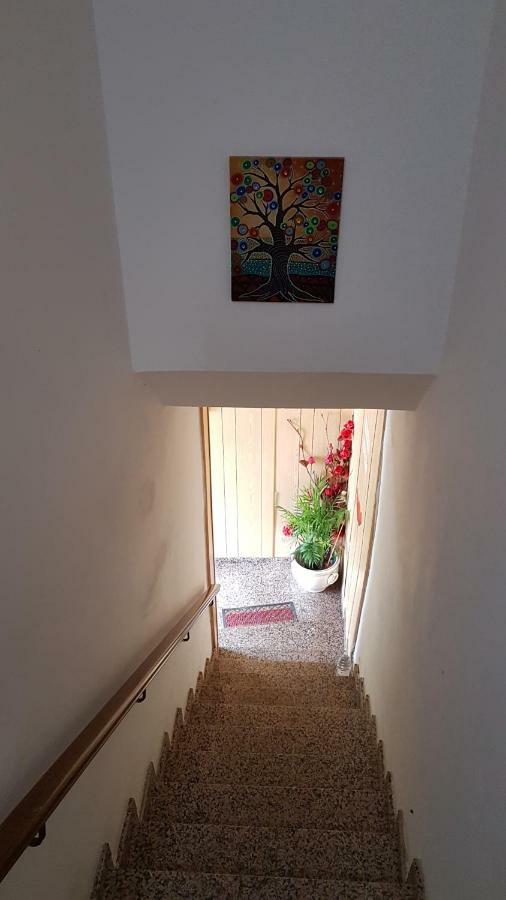 Valle Degli Etruschi B&B Grilli エクステリア 写真